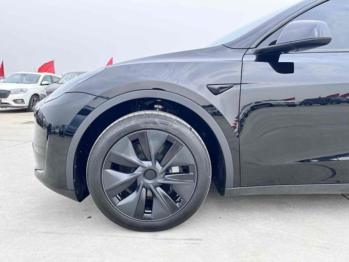 特斯拉 Model Y  2020款 改款 長續(xù)航后輪驅(qū)動版圖片