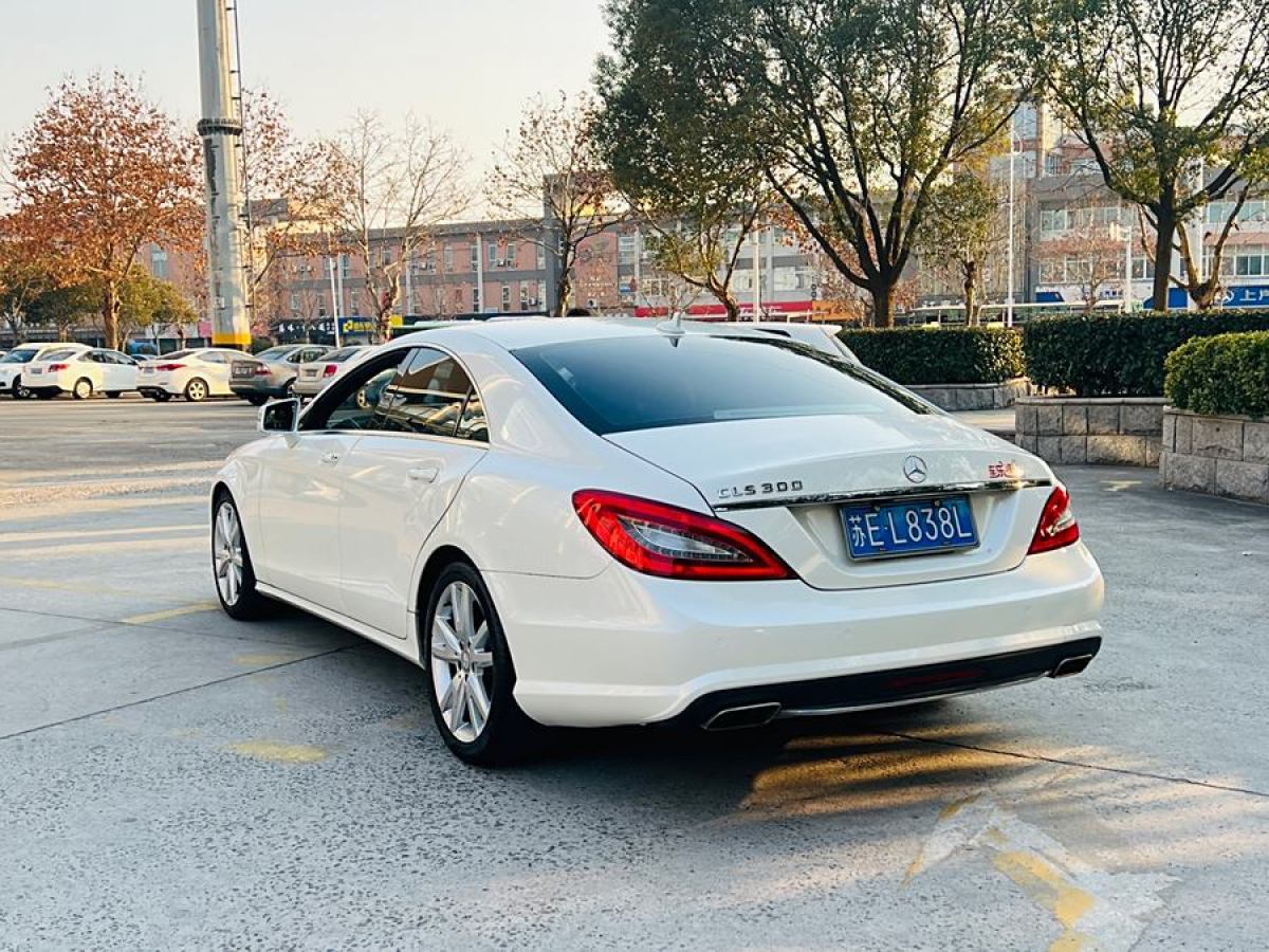 奔馳 奔馳CLS級  2012款 CLS 300 CGI圖片