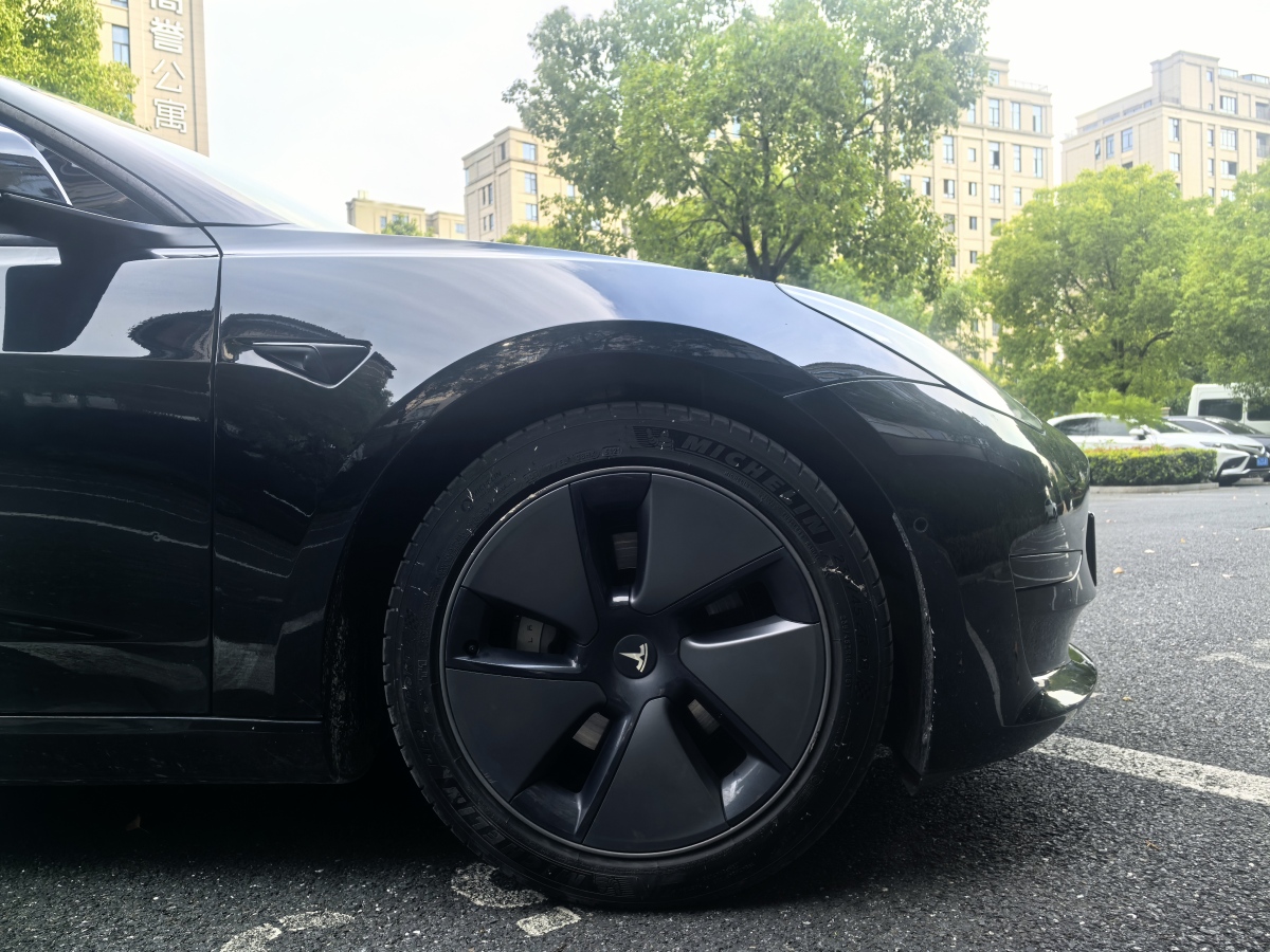 特斯拉 Model 3  2021款 標(biāo)準(zhǔn)續(xù)航后驅(qū)升級版 3D6圖片