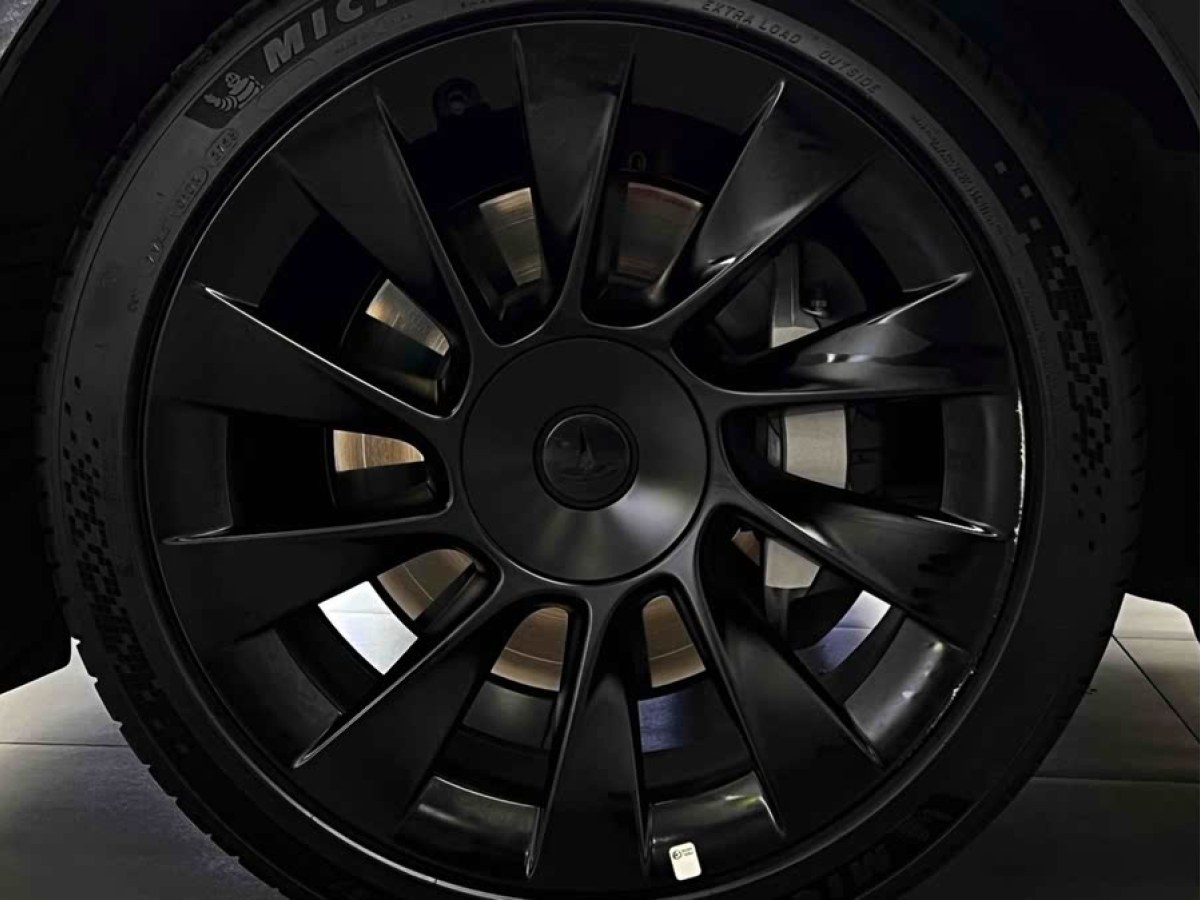 特斯拉 Model Y  2022款 改款 長續(xù)航全輪驅(qū)動版圖片