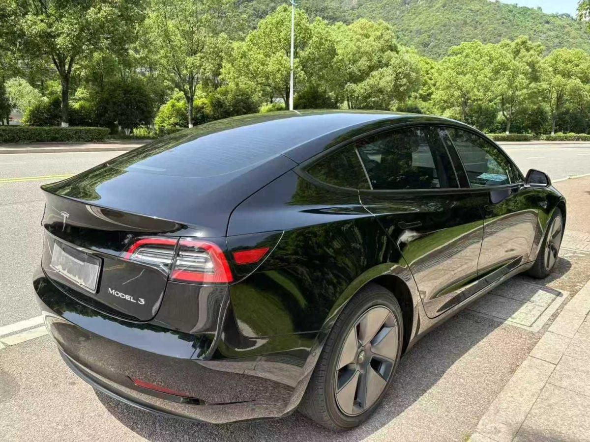 特斯拉 Model S  2021款 Performance 高性能版圖片
