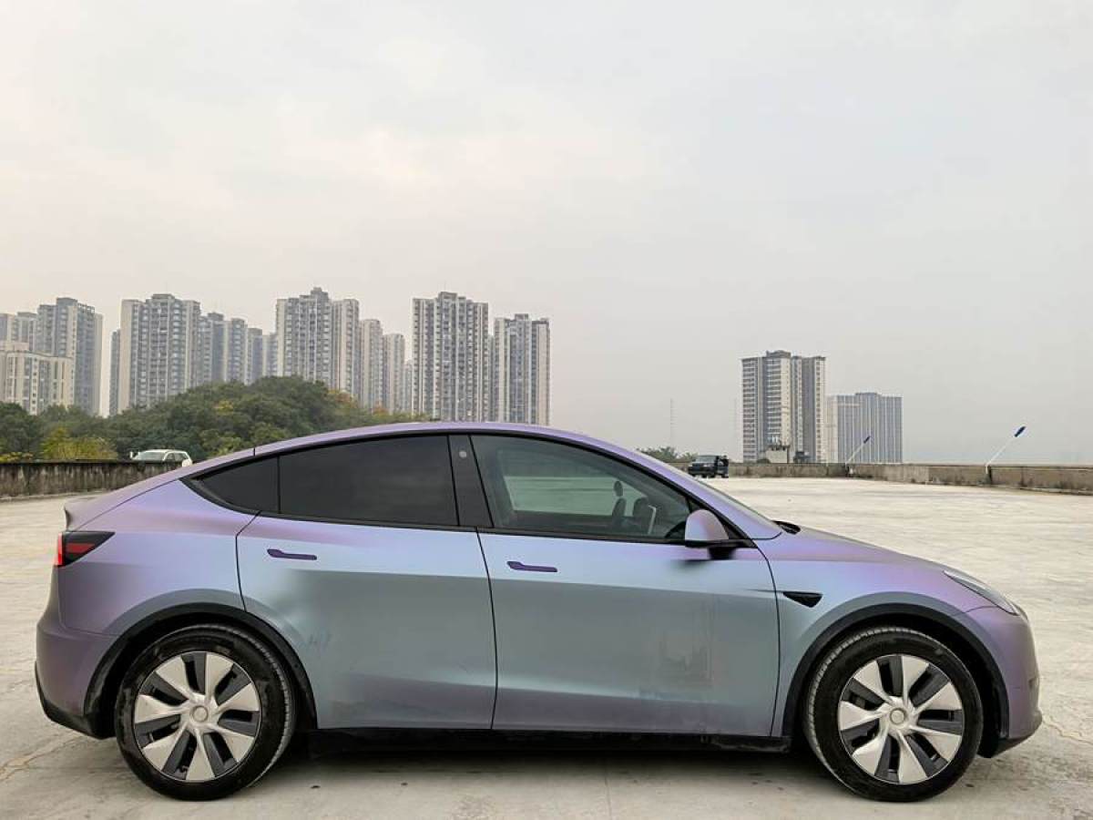 特斯拉 Model 3  2020款 改款 長續(xù)航后輪驅(qū)動版圖片