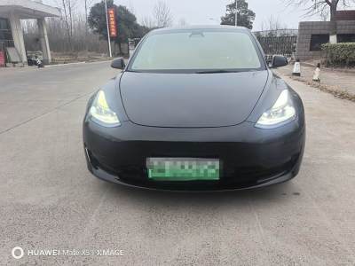 2021年7月 特斯拉 Model 3 改款 標(biāo)準(zhǔn)續(xù)航后驅(qū)升級(jí)版圖片