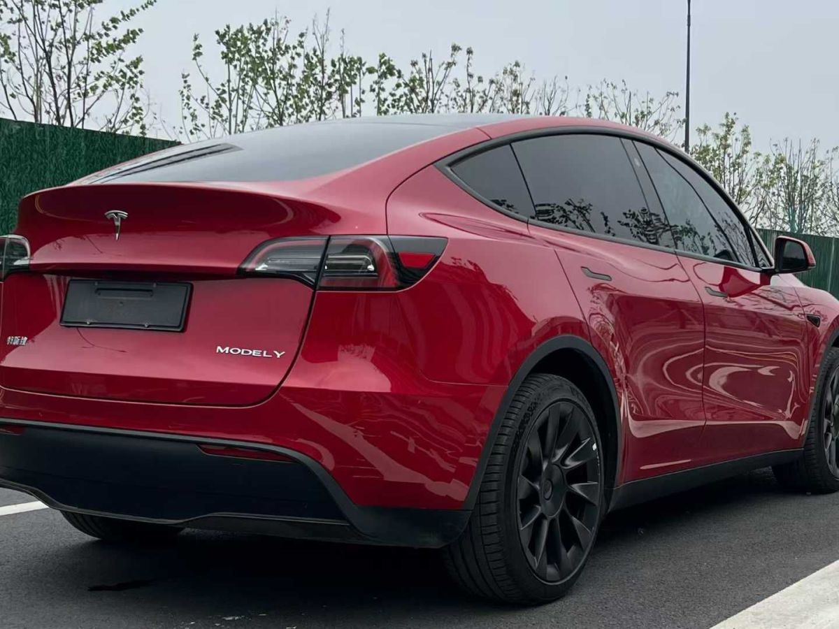 特斯拉 Model Y  2024款 Performance高性能版圖片