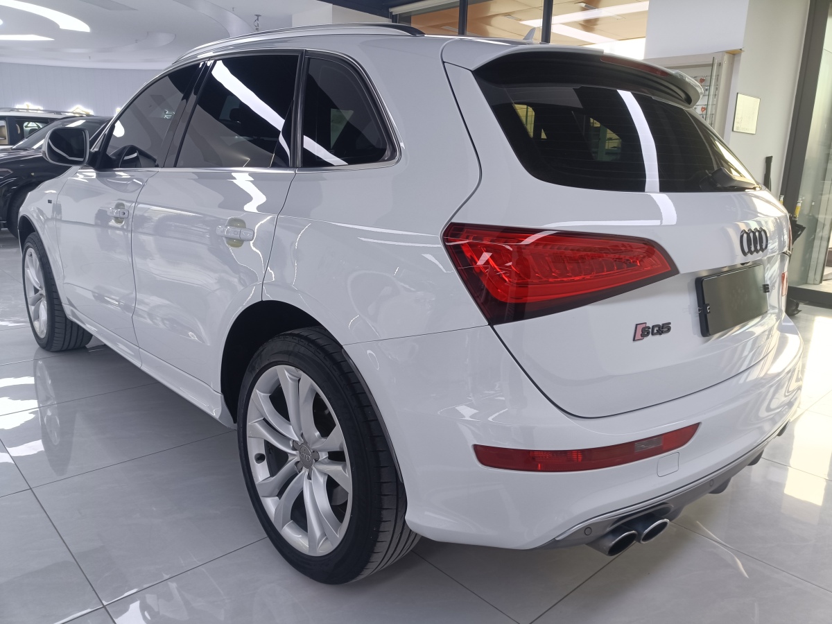 奧迪 奧迪SQ5  2014款 SQ5 3.0 TFSI quattro圖片