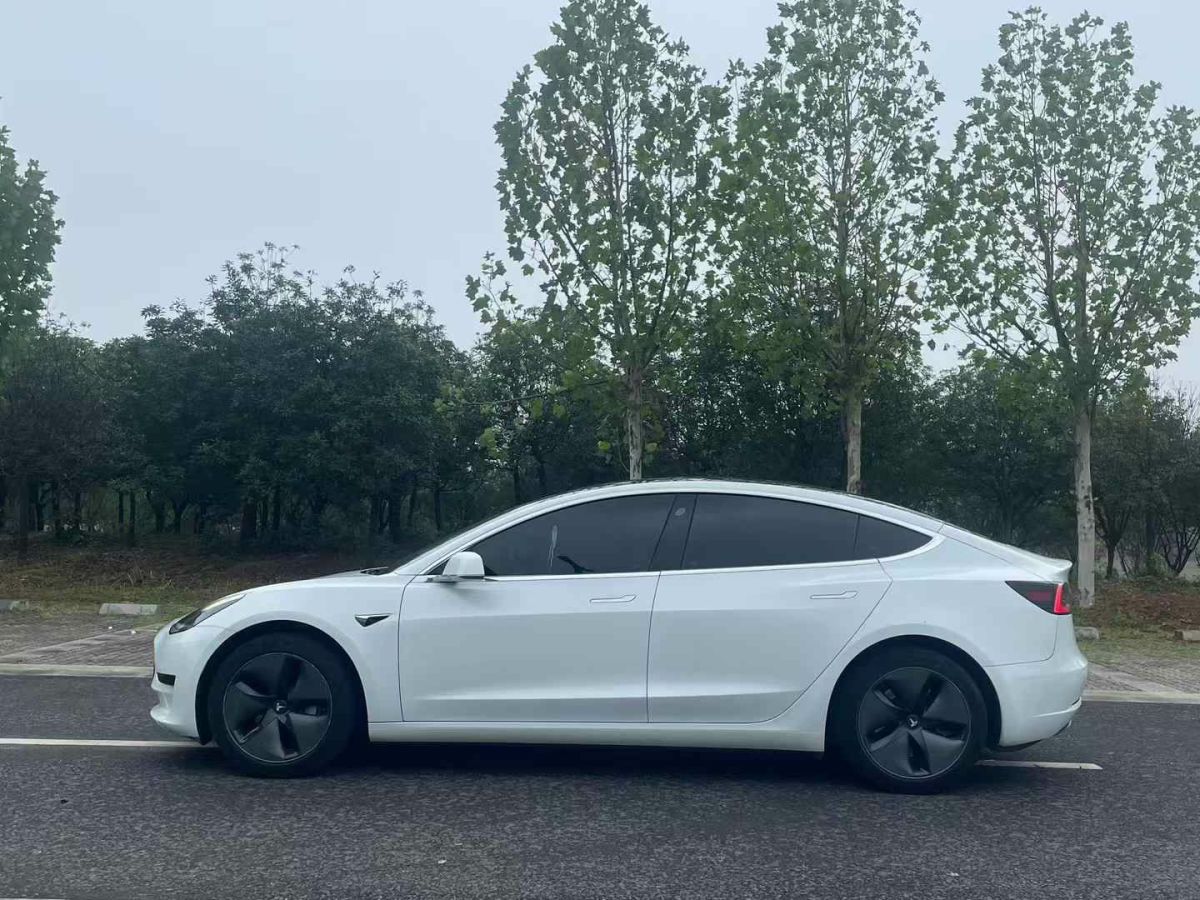 特斯拉 Model 3  2020款 標(biāo)準(zhǔn)續(xù)航后驅(qū)升級(jí)版圖片