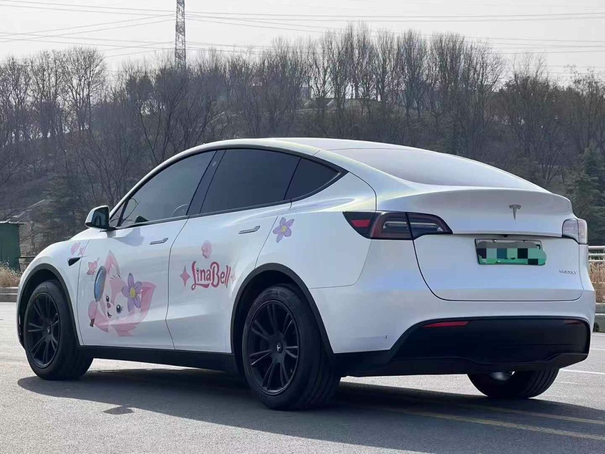 特斯拉 Model S  2023款 三電機(jī)全輪驅(qū)動(dòng) Plaid版圖片