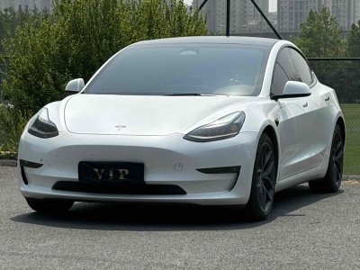 2021年11月 特斯拉 Model 3 Performance高性能全輪驅(qū)動(dòng)版圖片