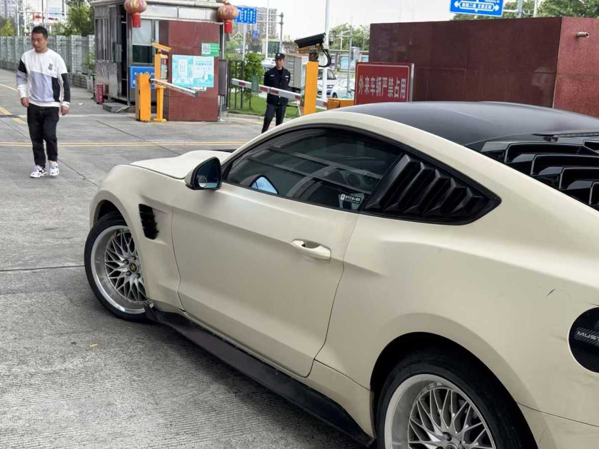 福特 Mustang  2015款 2.3T 性能版圖片