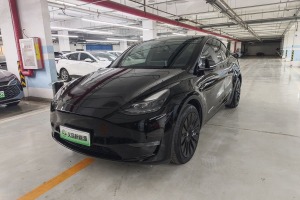 Model Y 特斯拉 標(biāo)準(zhǔn)續(xù)航后驅(qū)版