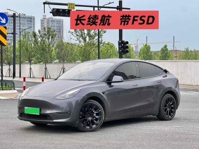 2021年03月 特斯拉 Model Y 長續(xù)航全輪驅動版圖片