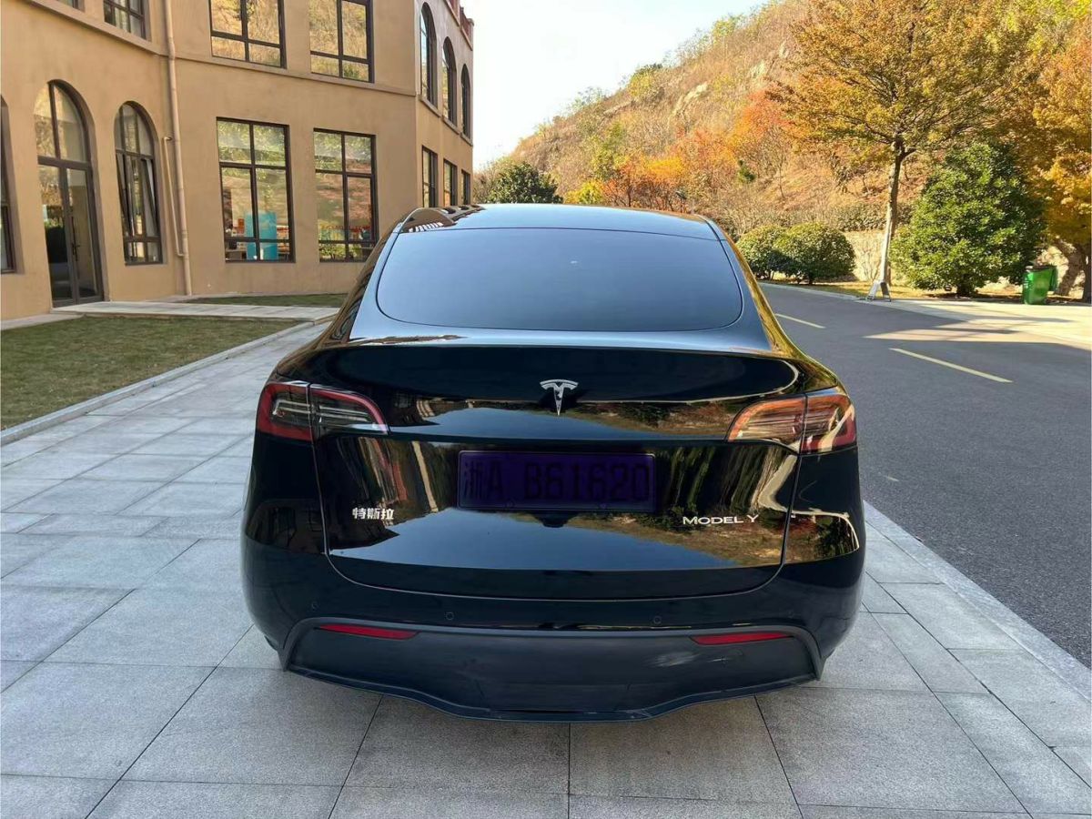 特斯拉 Model S  2023款 三電機(jī)全輪驅(qū)動(dòng) Plaid版圖片