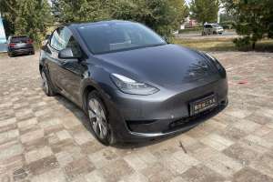 Model Y 特斯拉 后輪驅(qū)動版