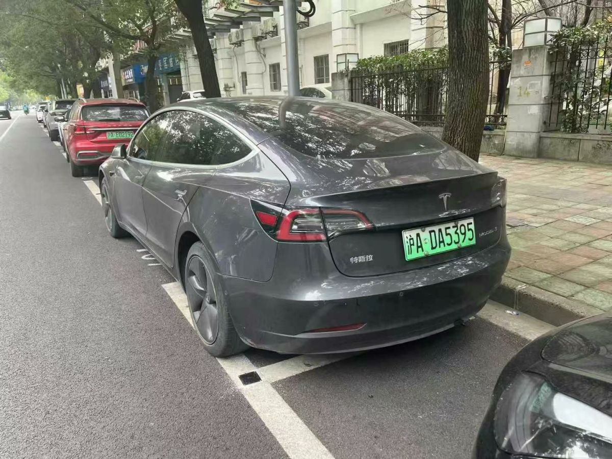 特斯拉 Model X  2020款 Performance 高性能版圖片