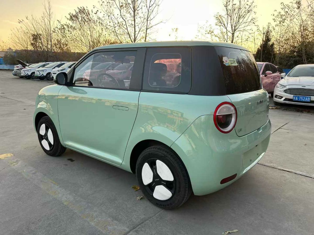 長(zhǎng)安跨越 新豹T3 EV  2024款 單排豪華版 倉柵車圖片