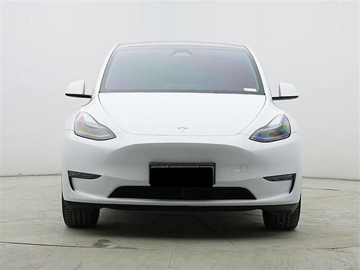 特斯拉 Model 3  2020款 改款 長(zhǎng)續(xù)航后輪驅(qū)動(dòng)版圖片