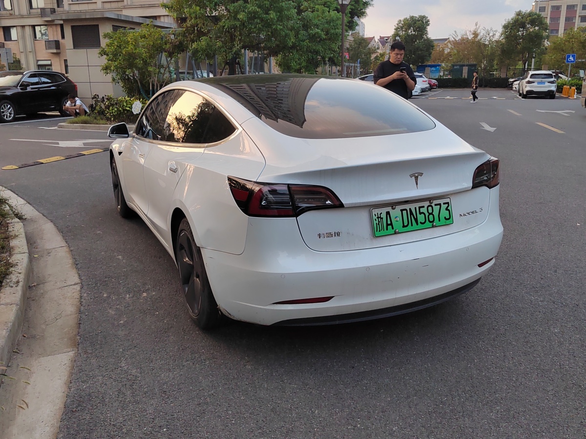 特斯拉 Model 3  2019款 標(biāo)準(zhǔn)續(xù)航后驅(qū)升級(jí)版圖片