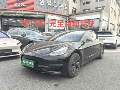 2019年7月 特斯拉 Model 3 長續(xù)航后驅版圖片