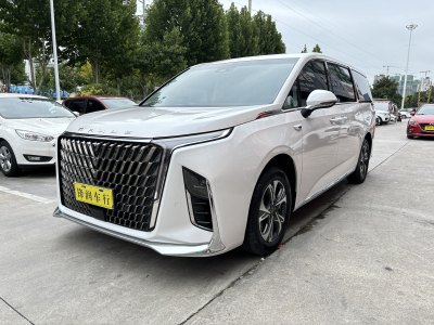 2022年10月 上汽大通 上汽大通MAXUS G90 2.0T 星河七座版圖片