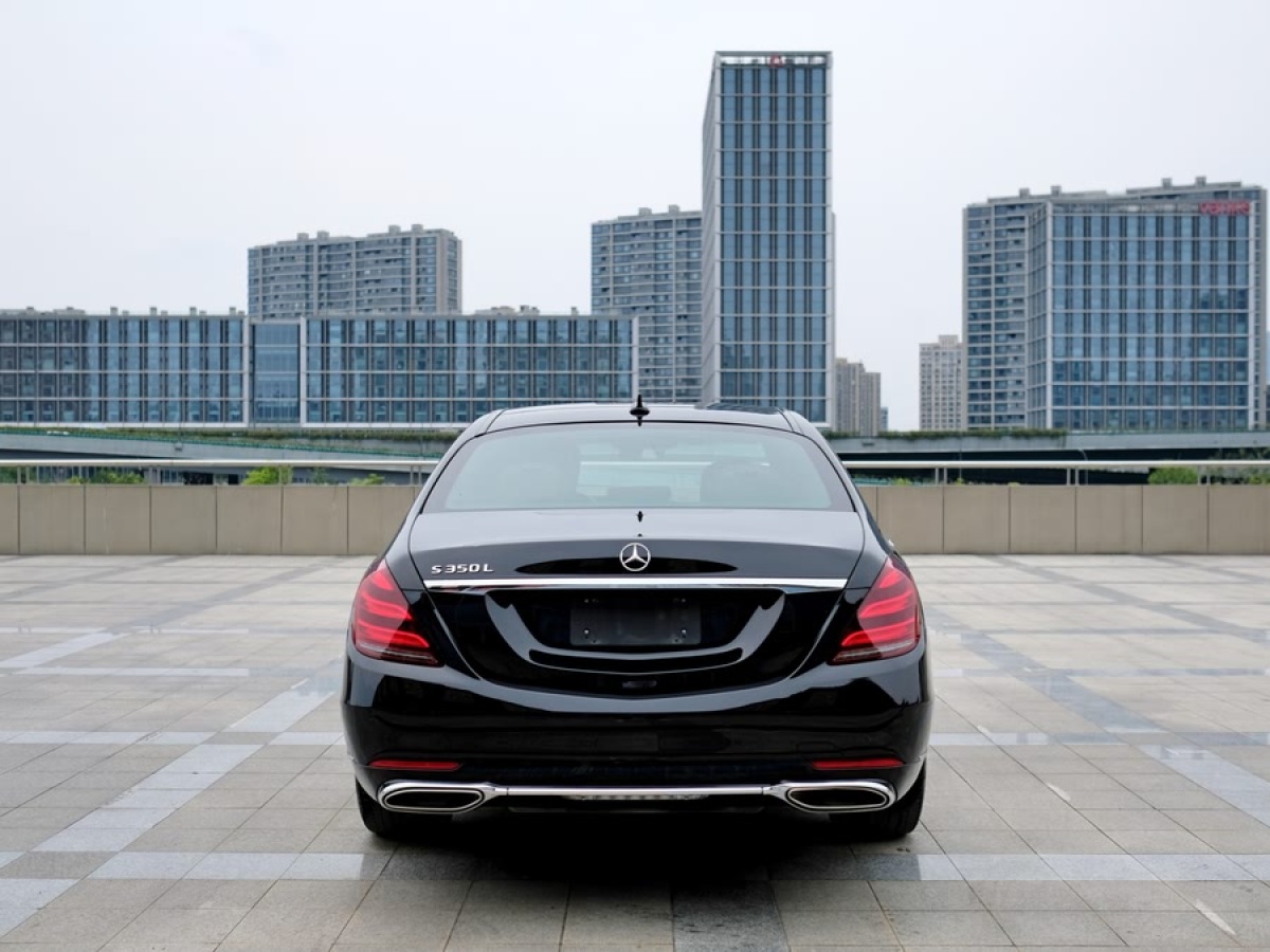 奔馳 奔馳S級  2020款 S 350 L 商務型 臻藏版圖片