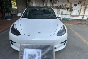 Model 3 特斯拉 标准续航后驱升级版