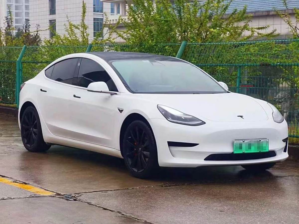 特斯拉 Model 3  2019款 標(biāo)準(zhǔn)續(xù)航后驅(qū)升級(jí)版圖片