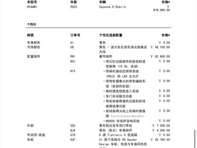 2023年1月 保時(shí)捷 Cayenne新能源 Cayenne E-Hybrid 2.0T圖片