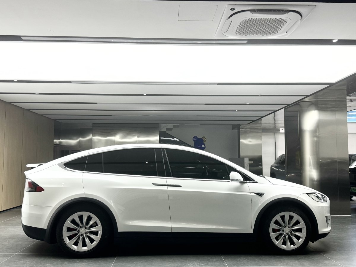 特斯拉 Model X  2019款 Performance 高性能版圖片