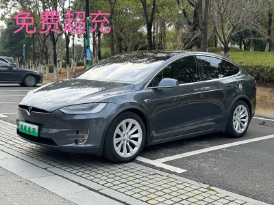 2019年7月 特斯拉 Model X Model X 75D圖片