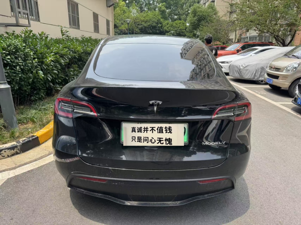 特斯拉 Model Y  2021款 標(biāo)準(zhǔn)續(xù)航后驅(qū)版圖片