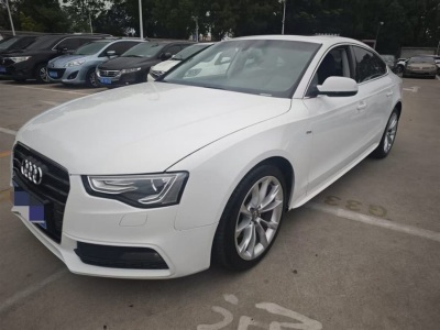 2015年2月 奧迪 奧迪A5(進(jìn)口) Sportback 45 TFSI quattro圖片