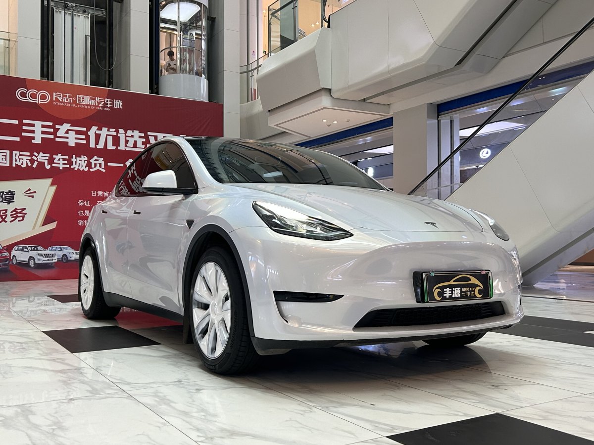 特斯拉 Model Y  2020款 改款 長(zhǎng)續(xù)航后輪驅(qū)動(dòng)版圖片