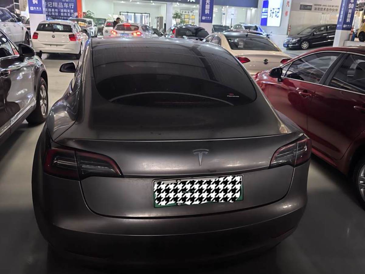 特斯拉 Model 3  2021款 標(biāo)準(zhǔn)續(xù)航后驅(qū)升級(jí)版 3D6圖片