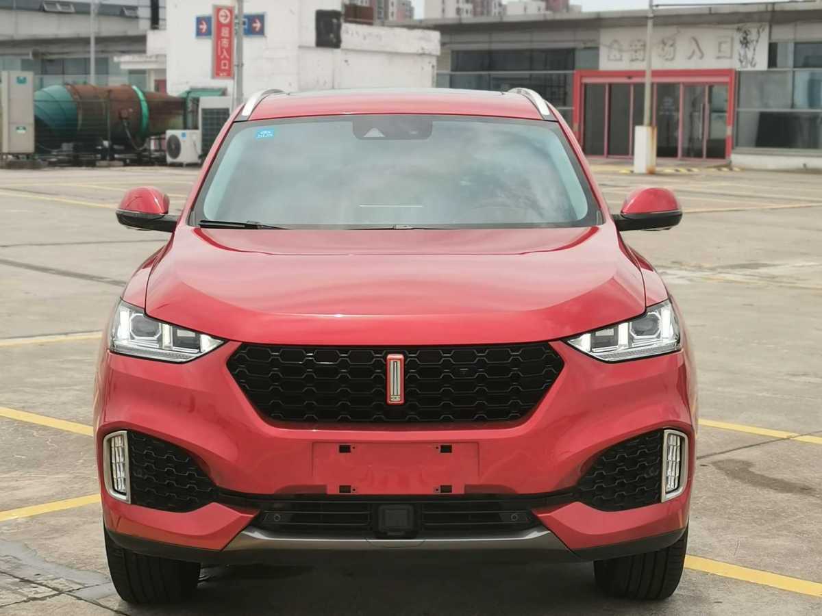 WEY VV6  2019款  2.0T 两驱超豪型 国VI图片