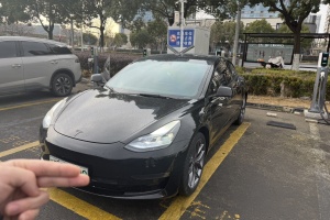 Model 3 特斯拉 Performance高性能全輪驅(qū)動(dòng)版