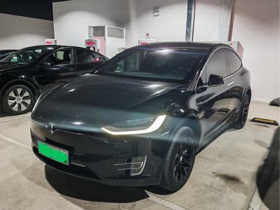 2020年4月 特斯拉 Model X Model X 100D 長(zhǎng)續(xù)航版圖片