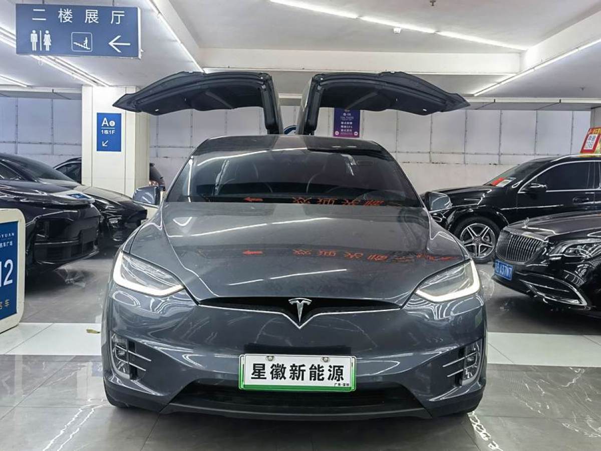 特斯拉 Model X  2020款 長續(xù)航升級版圖片