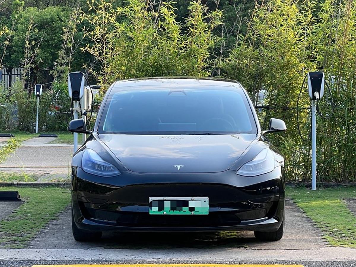 特斯拉 Model Y  2021款 改款 標(biāo)準(zhǔn)續(xù)航后驅(qū)升級(jí)版圖片