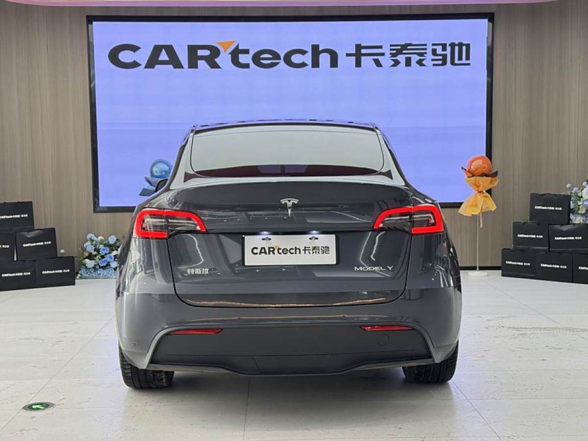 特斯拉 Model Y  2021款 改款二 長續(xù)航全輪驅(qū)動版圖片