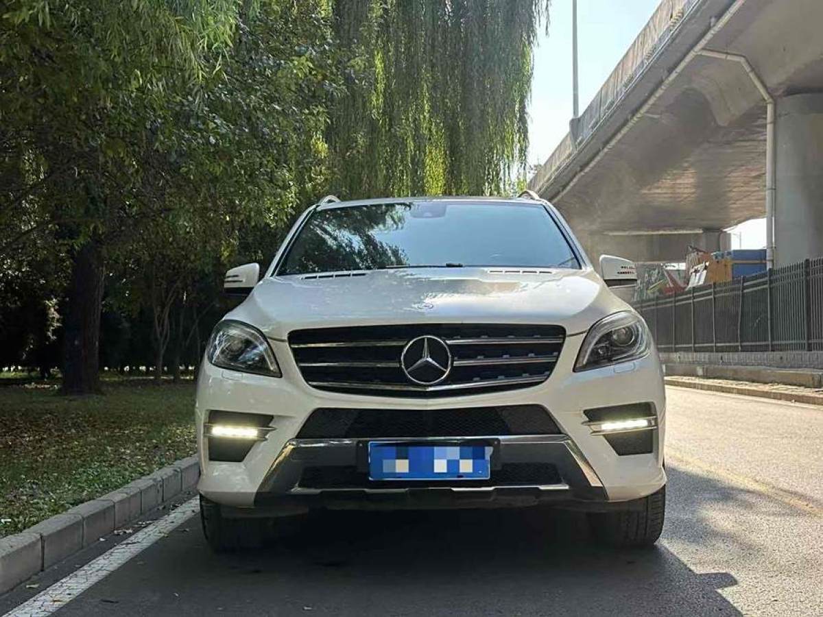 奔馳 奔馳M級(jí)  2014款 ML 320 4MATIC圖片