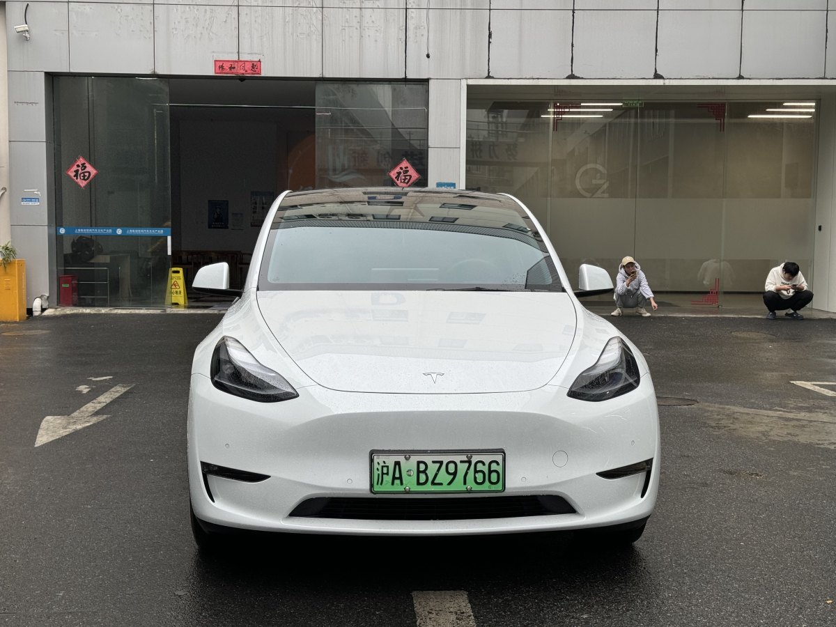 特斯拉 Model 3  2021款 改款 Performance高性能全輪驅(qū)動版圖片