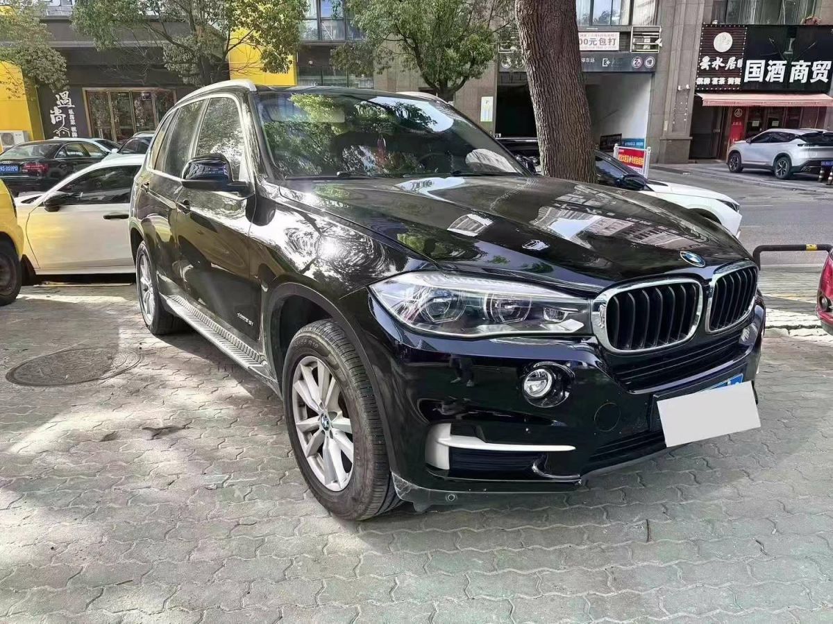 寶馬 寶馬X5  2019款 xDrive30i X設(shè)計(jì)套裝圖片