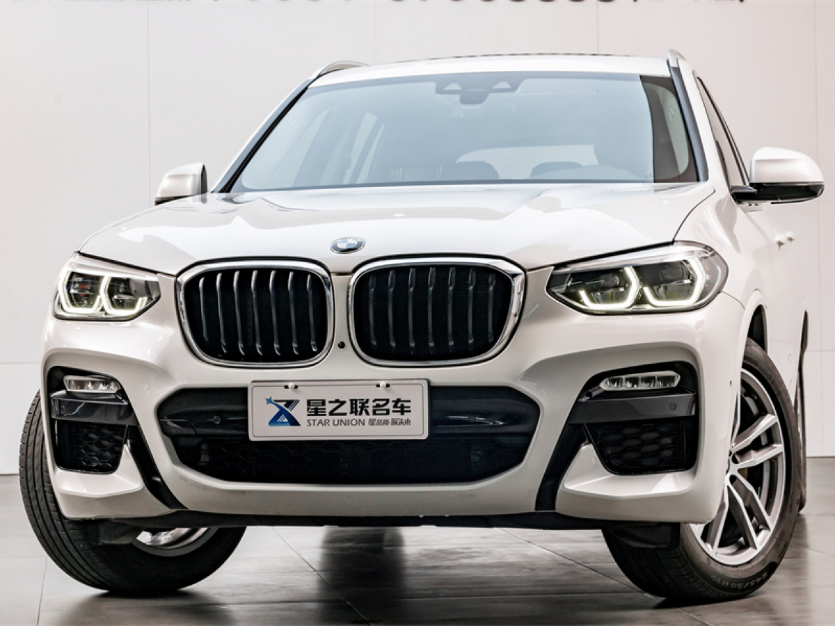 寶馬X3 18款 xDrive30i 領(lǐng)先型 M運(yùn)動(dòng)套裝 國(guó)Ⅵ圖片