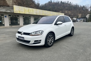 高爾夫 大眾 1.4TSI 自動(dòng)豪華型