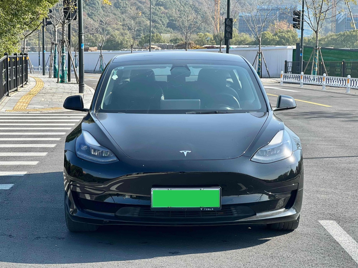 特斯拉 Model 3  2019款 標(biāo)準(zhǔn)續(xù)航后驅(qū)升級版圖片