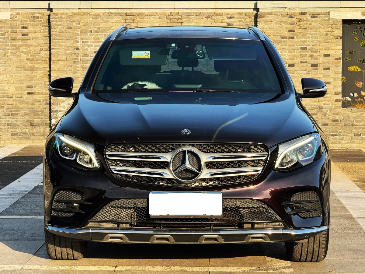 奔馳 奔馳GLC  2019款 GLC 260 4MATIC 動(dòng)感型圖片