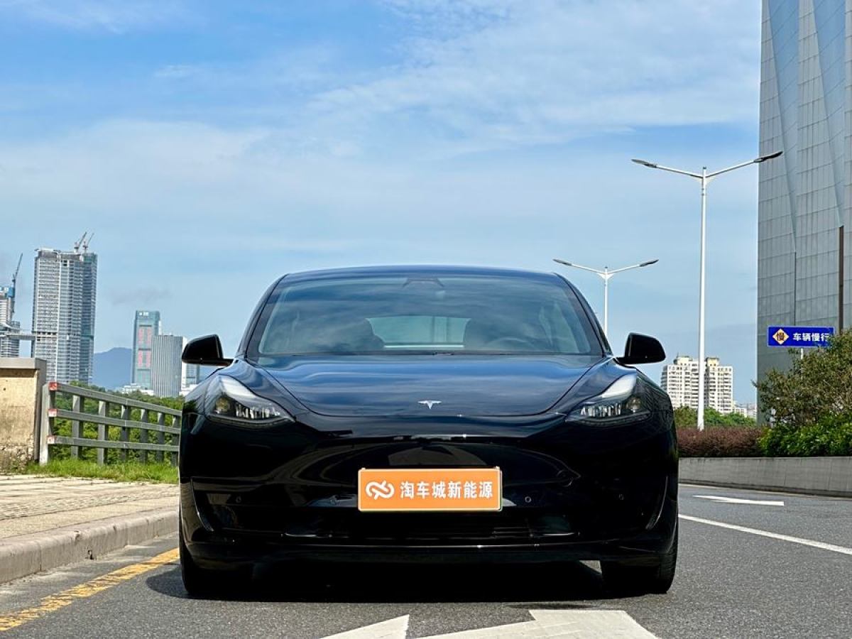 2021年1月特斯拉 Model 3  2019款 標準續(xù)航后驅(qū)升級版