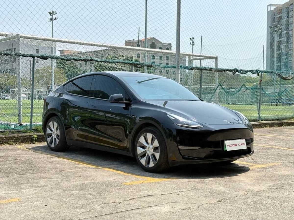 特斯拉 Model Y  2021款 標(biāo)準(zhǔn)續(xù)航后驅(qū)版圖片