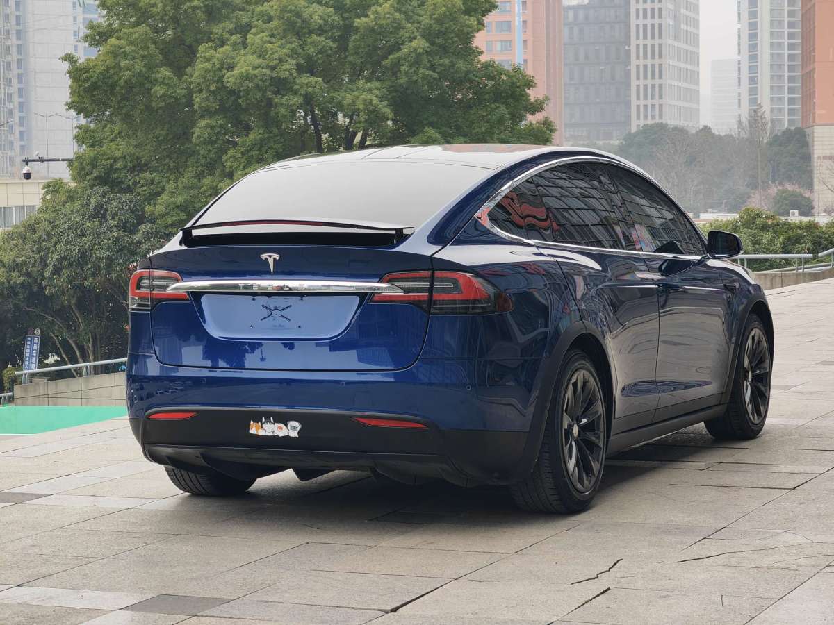 特斯拉 Model X  2019款 長續(xù)航版圖片