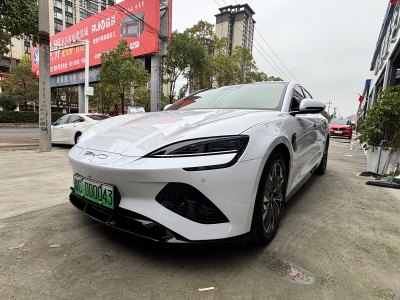 2023年6月 比亞迪 海豹 550km 標準續(xù)航后驅版精英型圖片